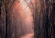 大马德里主场击败马德里竞技，小组榜首