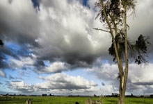 富勒姆遭遇不幸绝杀，遗憾吞下败果