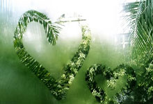 切尔西大胜对手，豪取积分榜前列