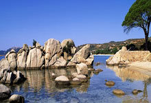 球员助力球队逆转，篮协赛事持续升级