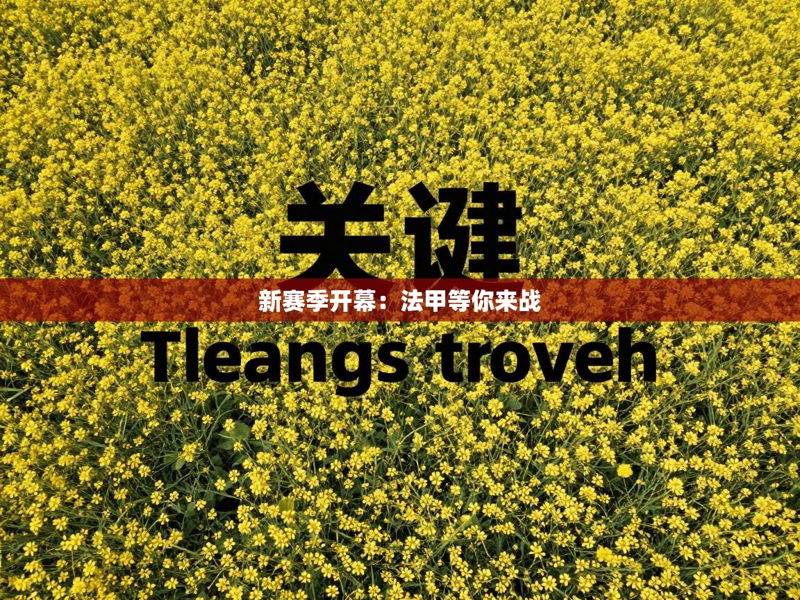 新赛季开幕：法甲等你来战