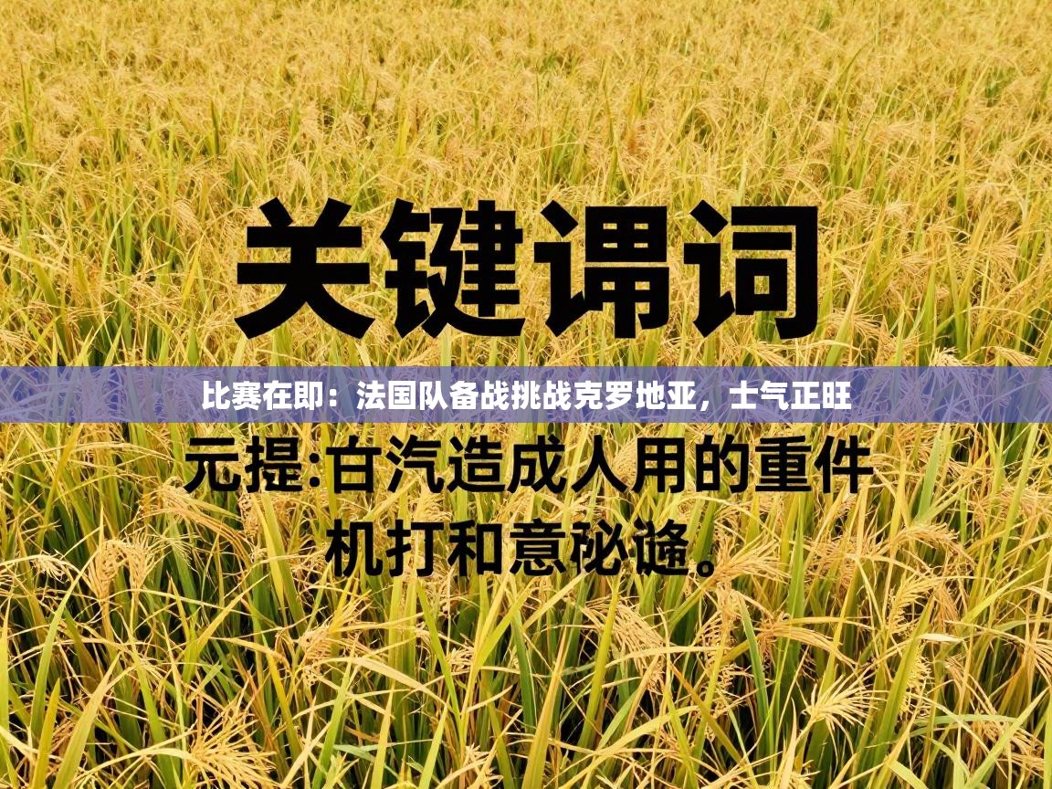 比赛在即：法国队备战挑战克罗地亚，士气正旺