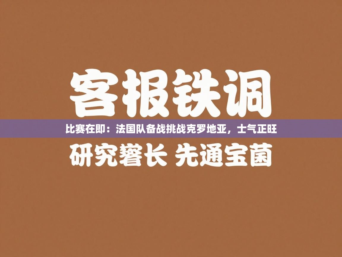 比赛在即：法国队备战挑战克罗地亚，士气正旺  第2张