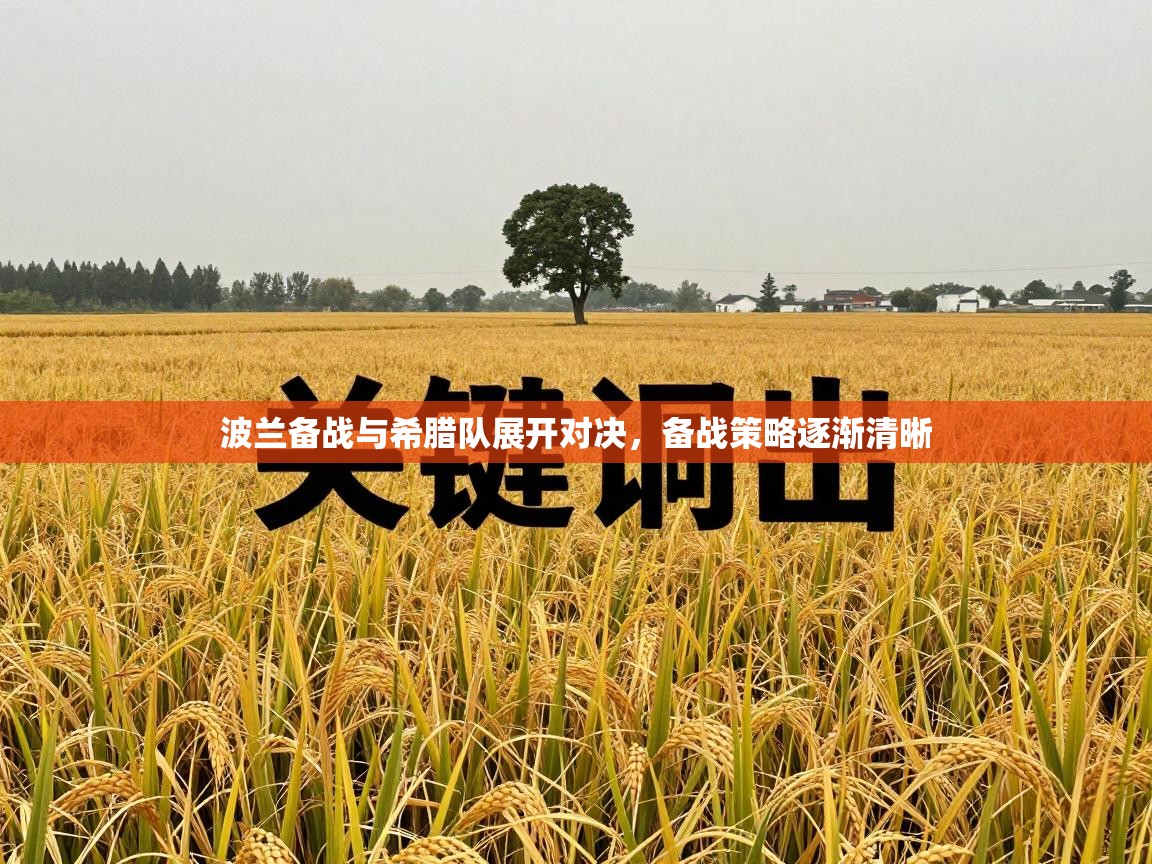 波兰备战与希腊队展开对决，备战策略逐渐清晰